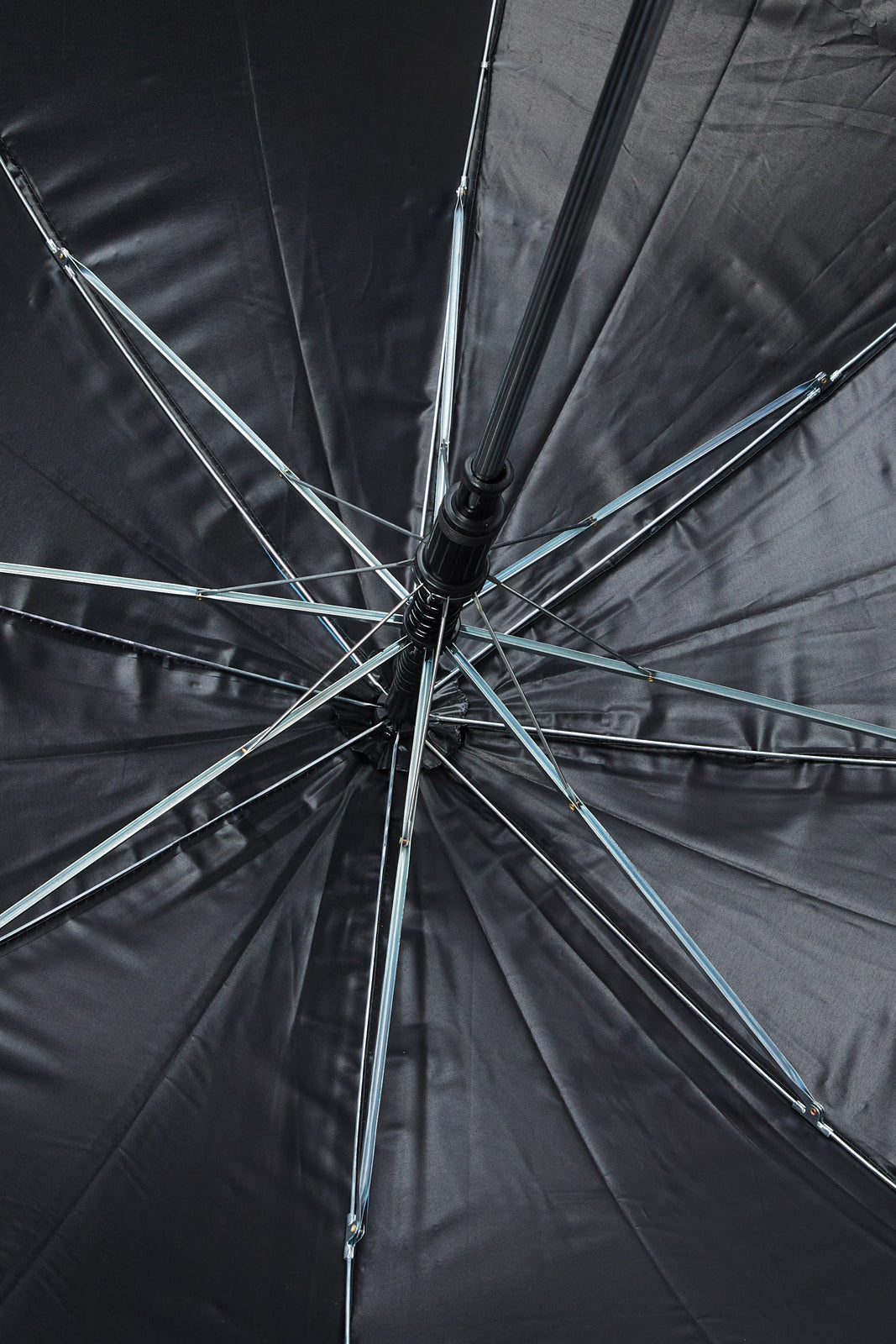 Blue Dinosaur Foldable Umbrella