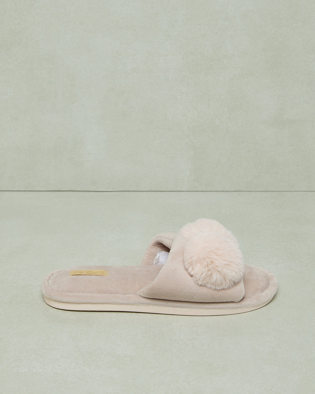 Women Beige Embellished Slipper